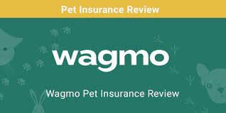 Wagmo Pet Insurance Review: Comprehensive Coverage